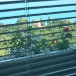 Happy Vacation 2 * Varna
