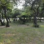 Happy Vacation 2 Varna