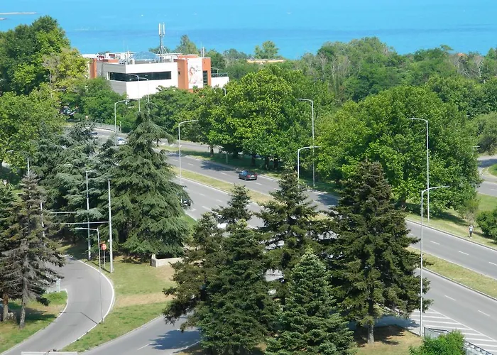 Happy Vacation 2 * Warna