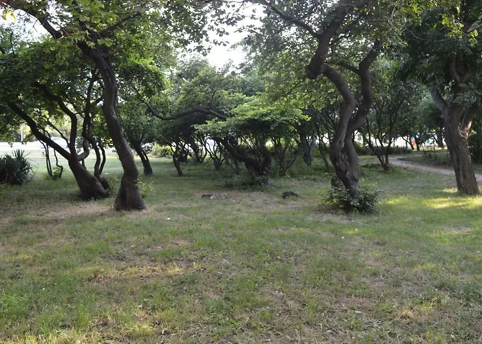 Happy Vacation 2 Warna